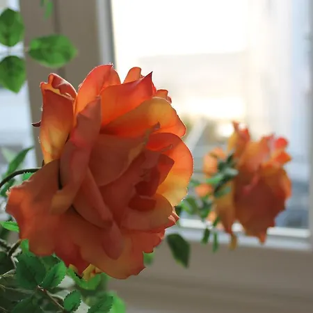 Atlantic Travemuende