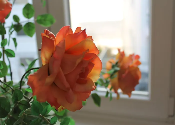 Atlantic Travemuende